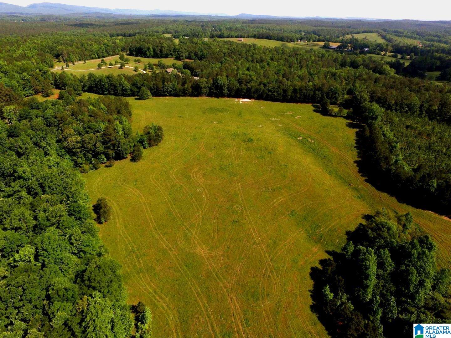 Oaks Chapel Road, Unit 76 Goodwater, AL 35072 - Photo 4 of 25