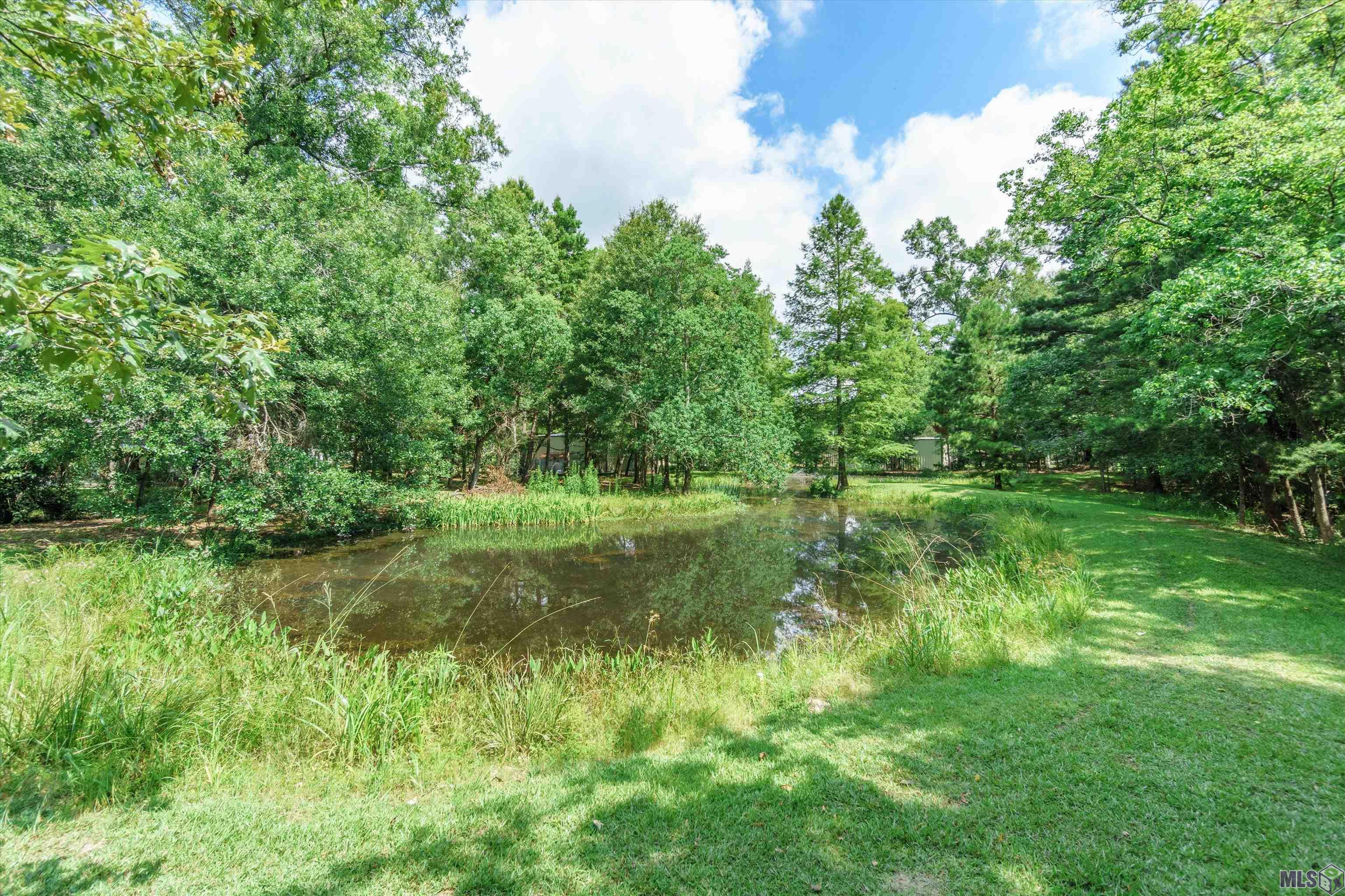 12993 Hammack Road Denham Springs, LA 70726 - Photo 23 of 24 Gallery Image 23