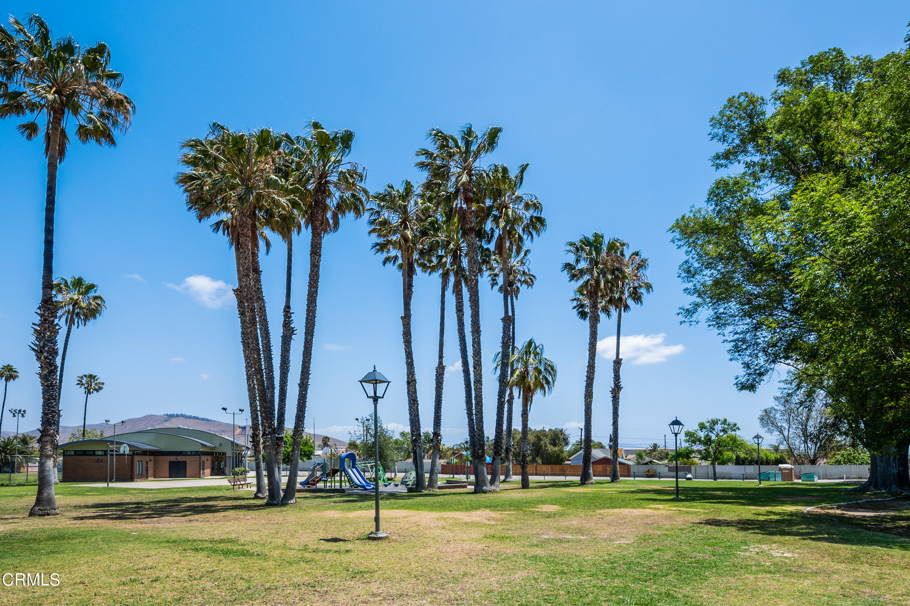 11208 Aster Street Ventura, CA 93004 - Photo 26 of 33 a view of three tall trees