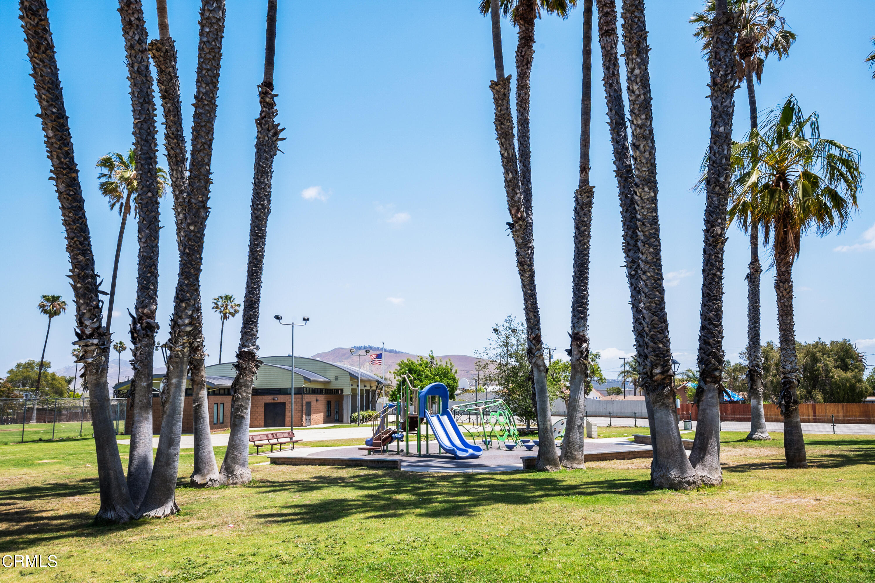 11208 Aster Street Ventura, CA 93004 - Photo 27 of 33 a view of small yard with palm trees