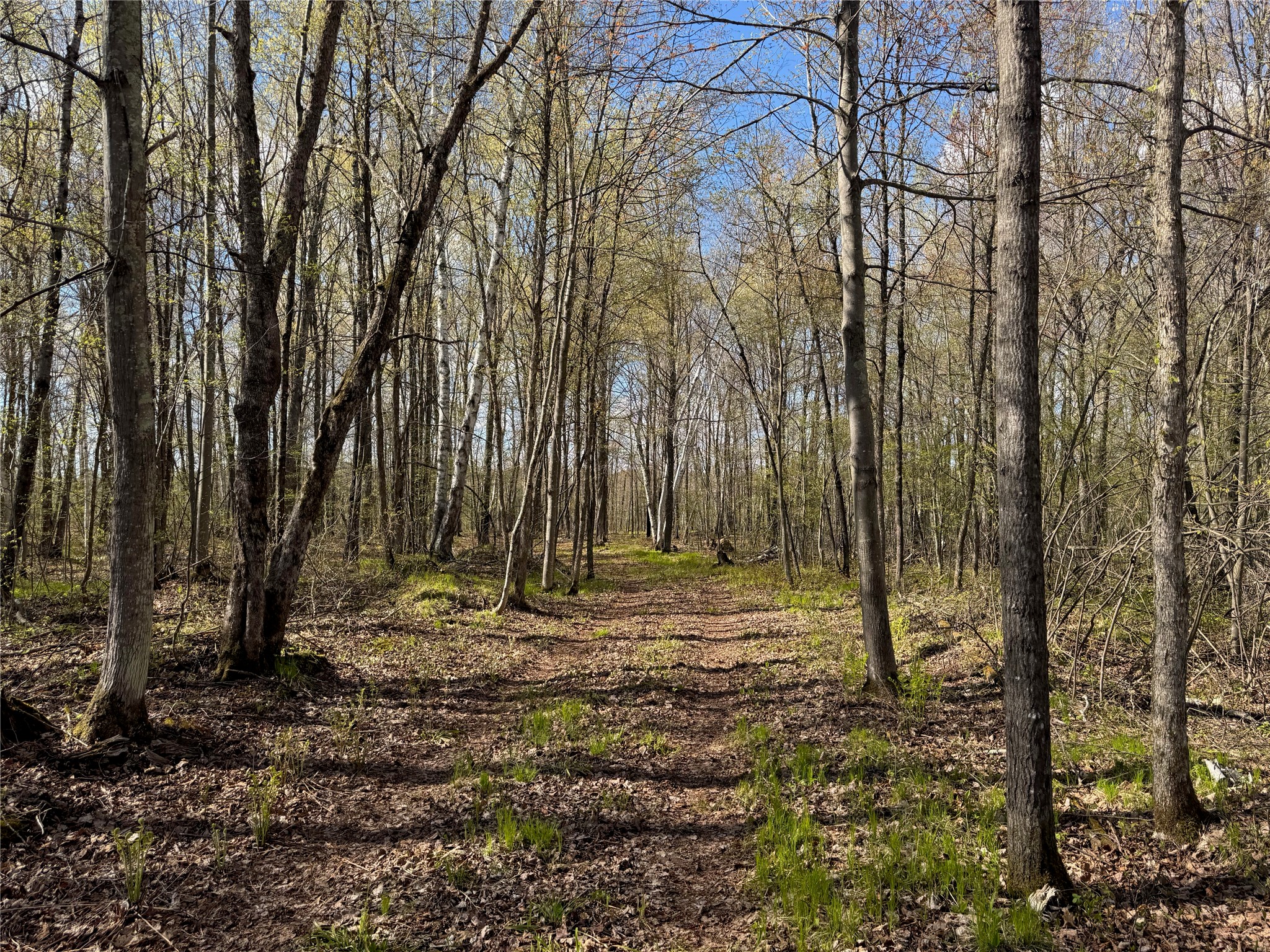 Lot 7 Trapper Trail Hayward, WI 54843 - Photo 17 of 42