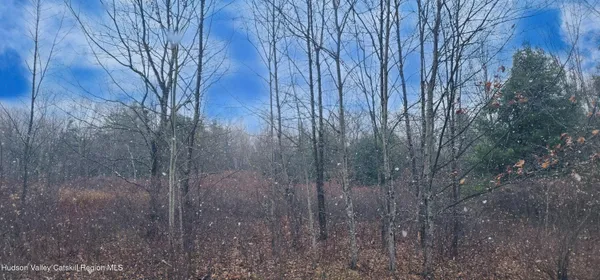 $179,000 | 40 Bailey Road, Jewett, NY 12444