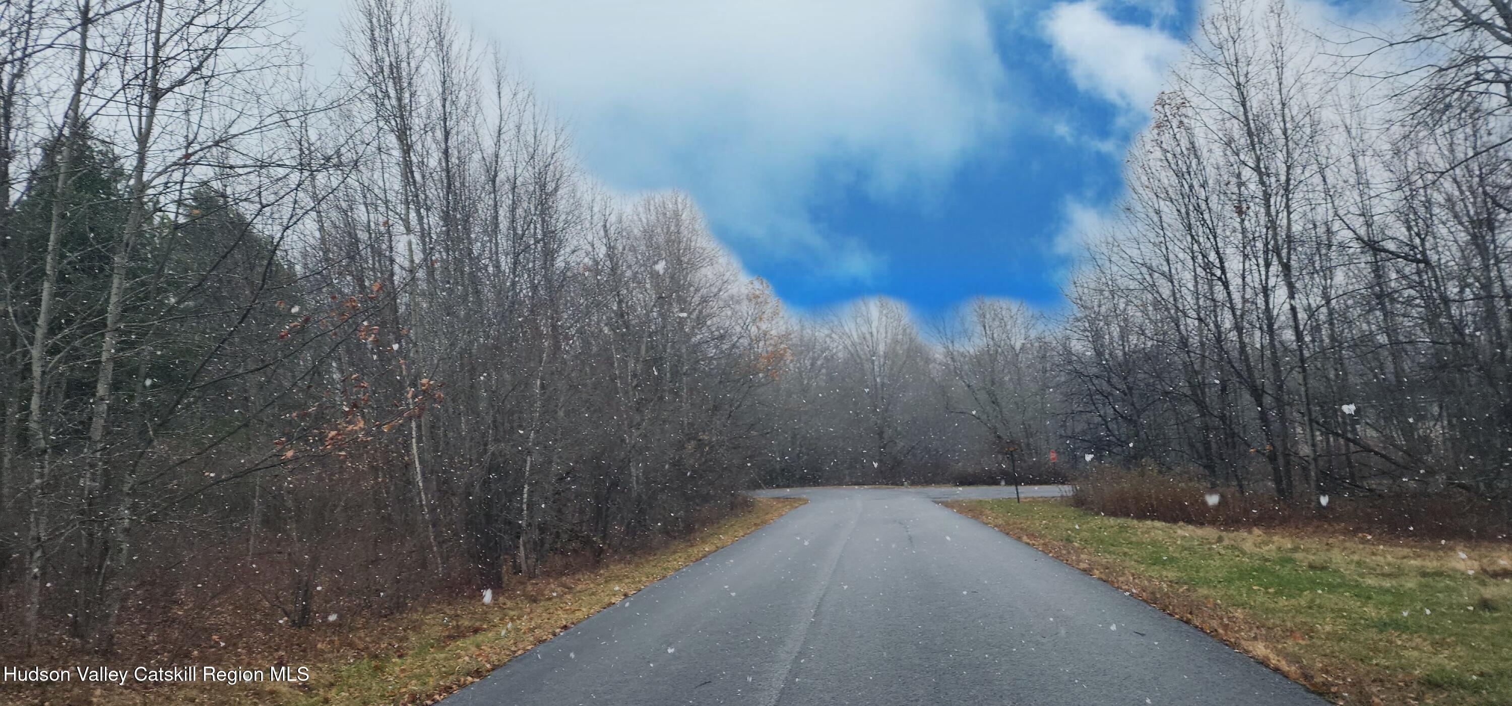 40 Bailey Road Jewett, NY 12444 - Photo 12 of 13 a view of a yard