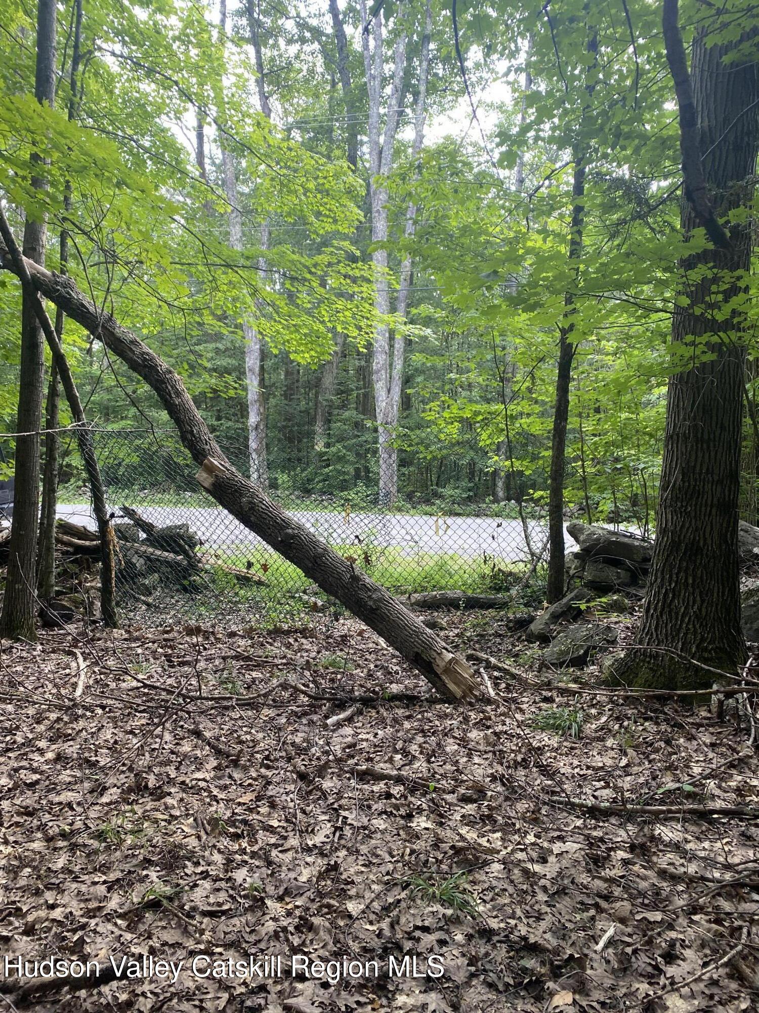 40 Bailey Road Jewett, NY 12444 - Photo 5 of 13 a backyard of a house with lots of green space
