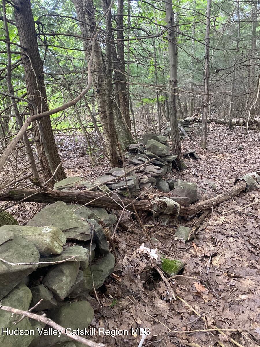 40 Bailey Road Jewett, NY 12444 - Photo 7 of 13 a view of outdoor space