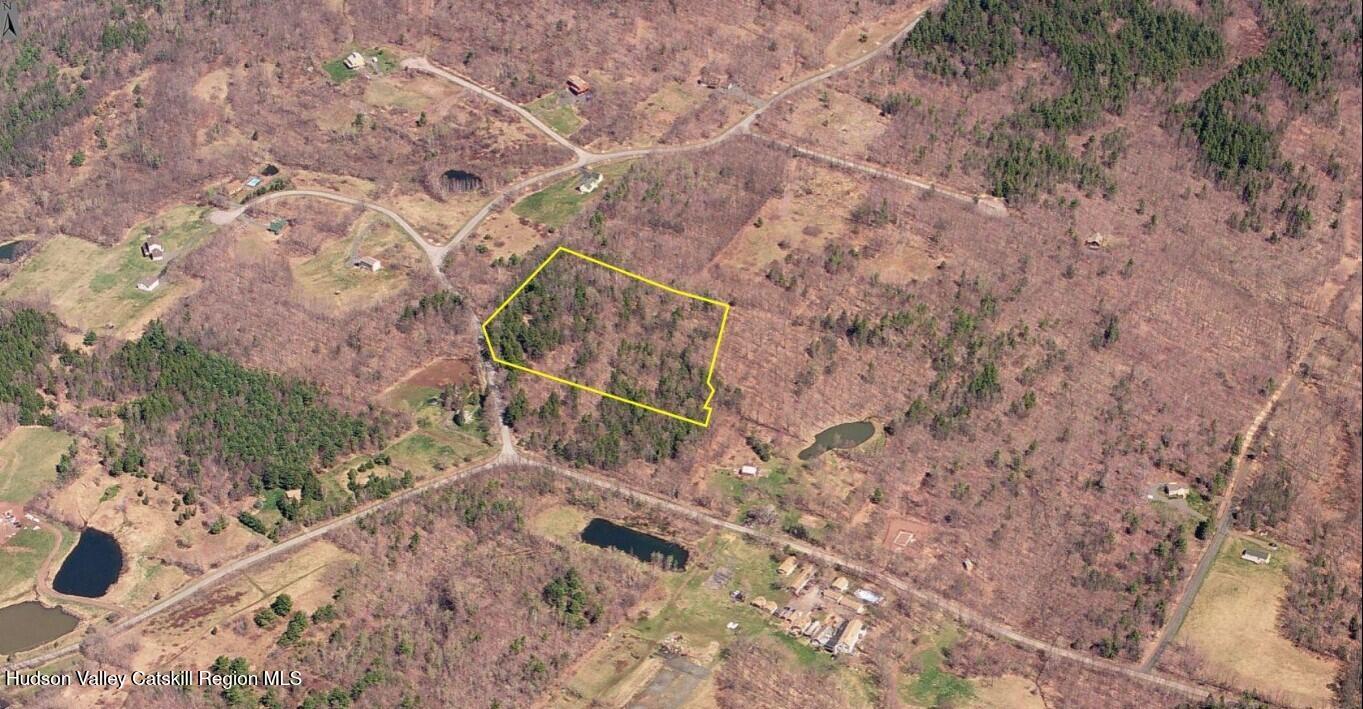 40 Bailey Road Jewett, NY 12444 - Photo 10 of 13 a view of outside area