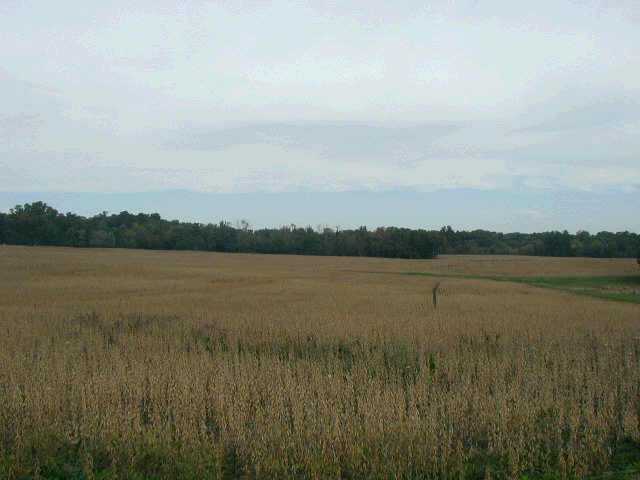 12750 Chambers Road Sunbury, OH 43074 - Photo 1 of 1 Gallery Image 1