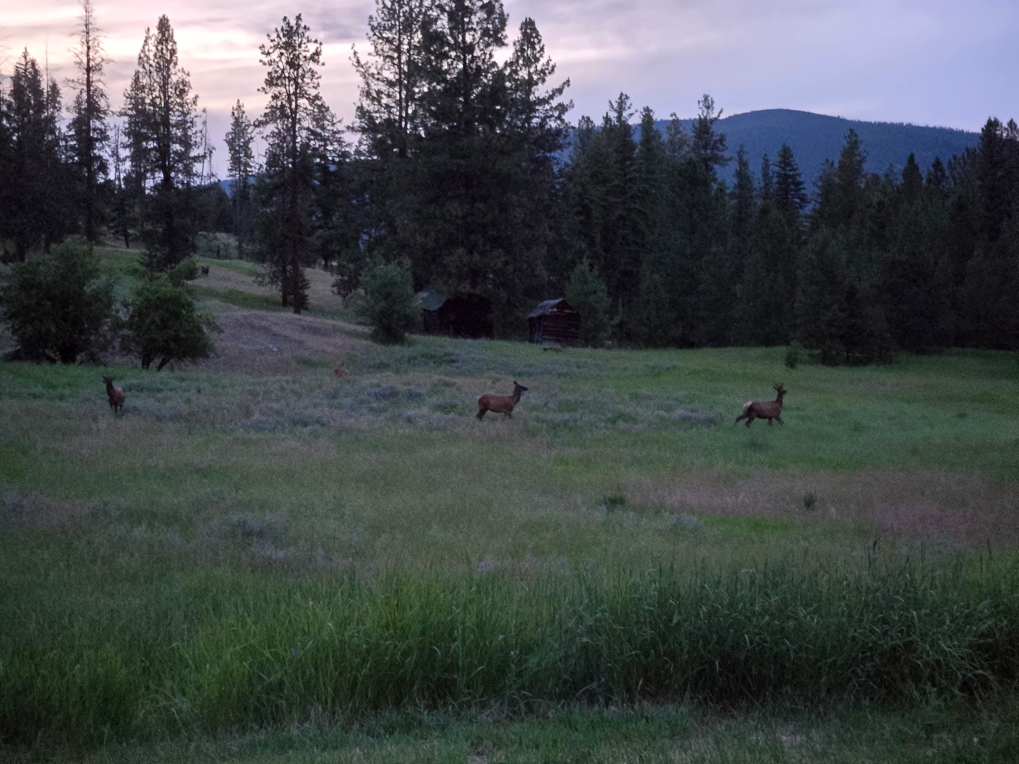 230 Verde Creek Road Superior, MT 59872 - Photo 41 of 42 Gallery Image 41