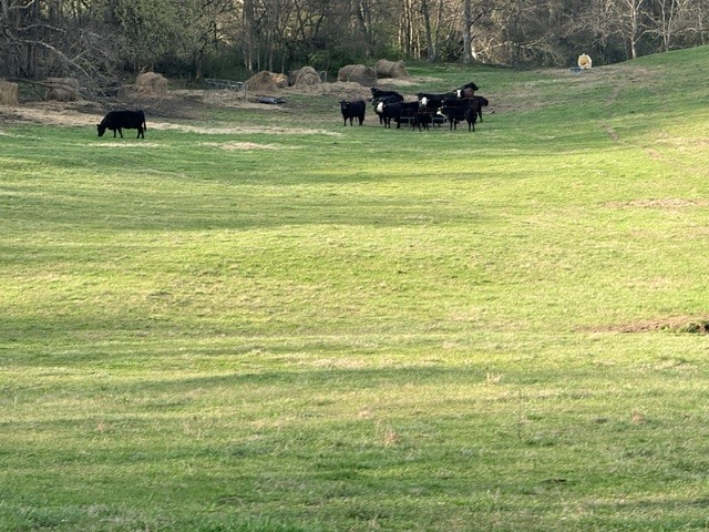 2200 Sugar Ridge Road Spring Hill, TN 37174 - Photo 3 of 9