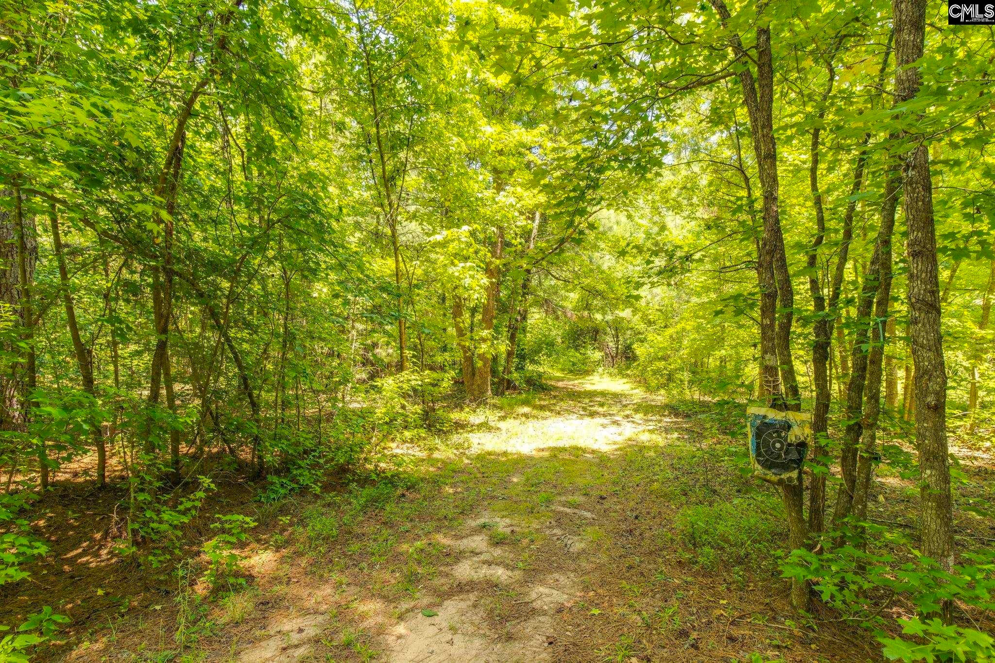 1242 Old Douglas Road Winnsboro, SC 29180 - Photo 26 of 32