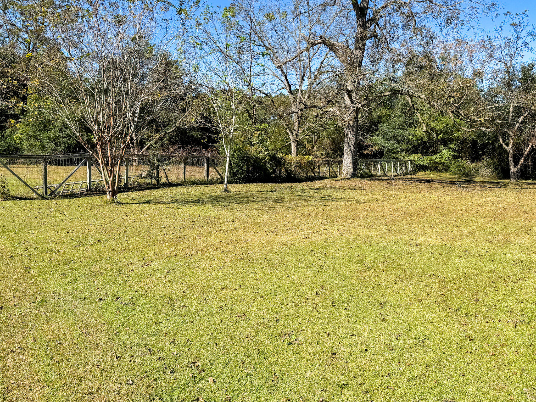 360 State Rd S-38-263 Branchville, SC 29432 - Photo 8 of 41 IMG_3251