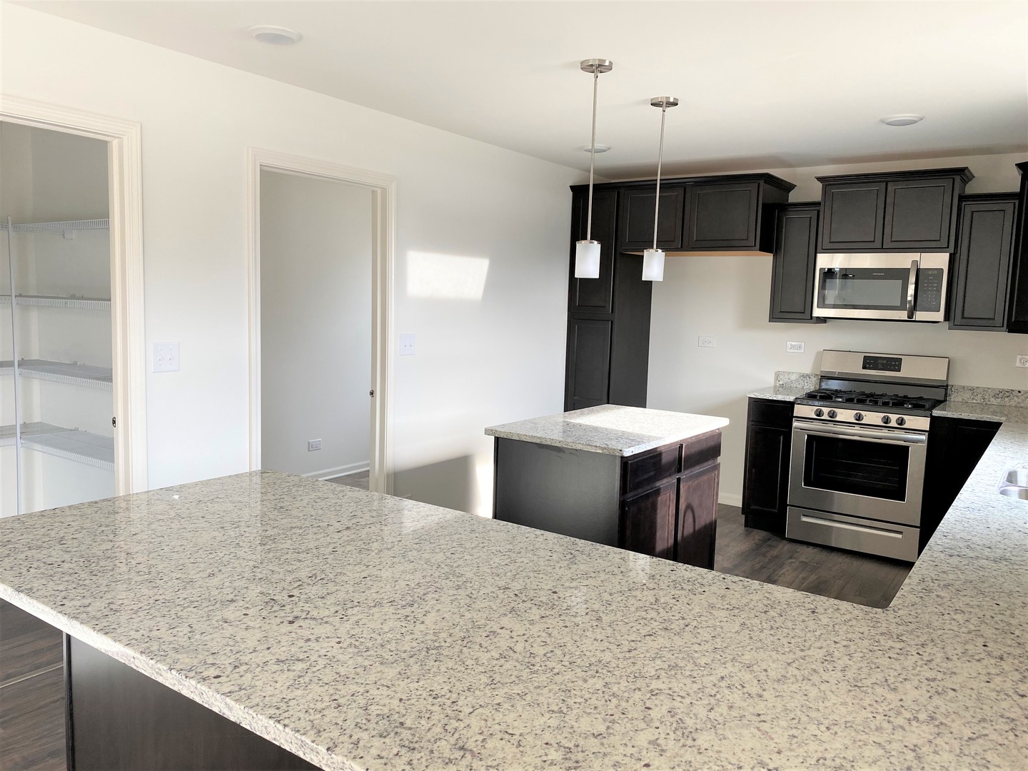 2013 Rownham Hill Road New Lenox, IL 60451 - Photo 5 of 23