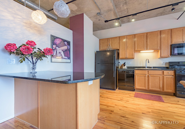 6 South Laflin Street, Unit 604 Chicago, IL 60607 - Photo 11 of 25