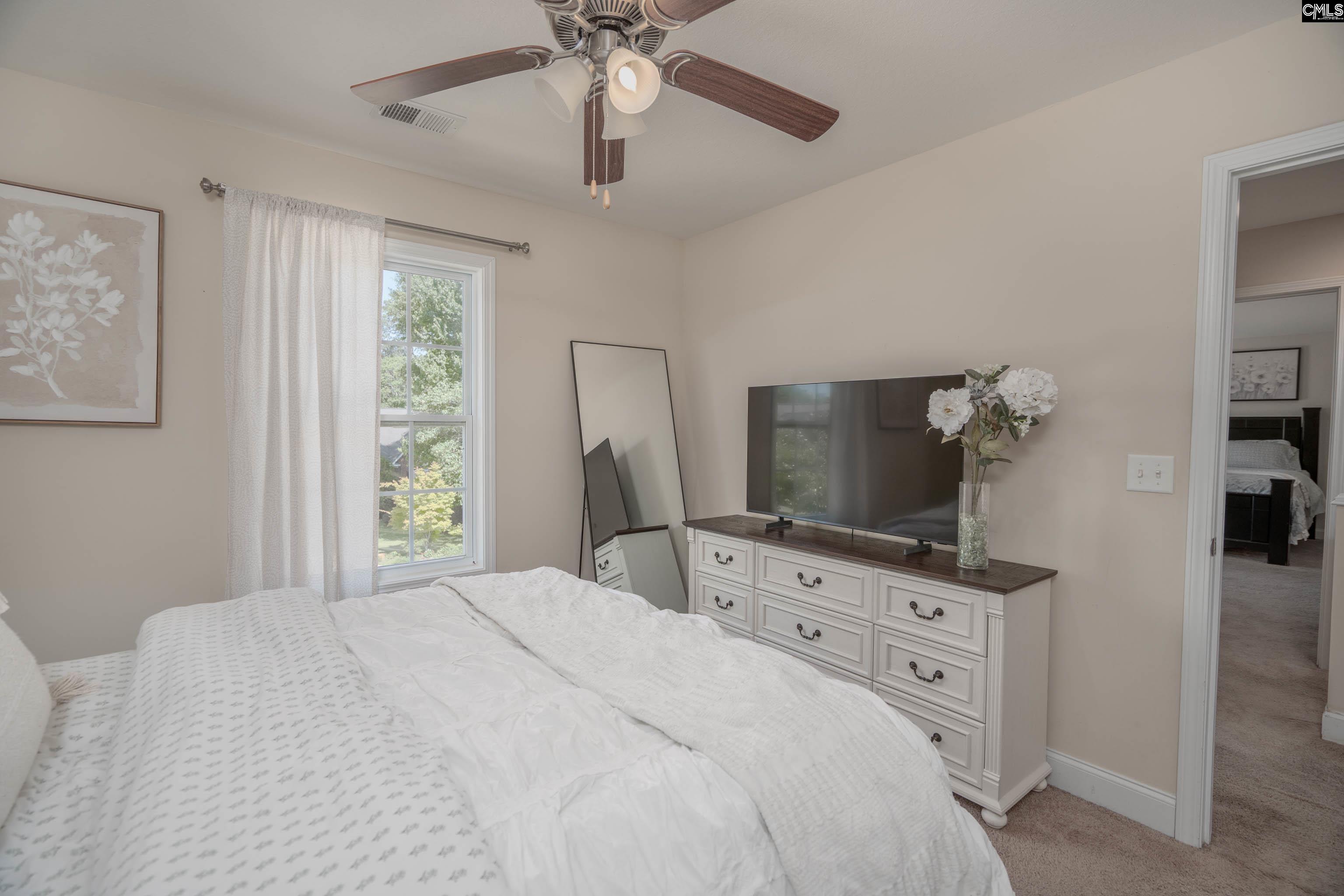 133 Palm Street Chapin, SC 29036 - Photo 24 of 37