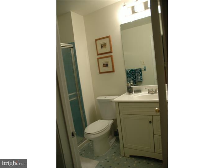 16 Hopkinson Court, Unit 157 Wayne, PA 19087 - Photo 12 of 21 Gallery Image 12