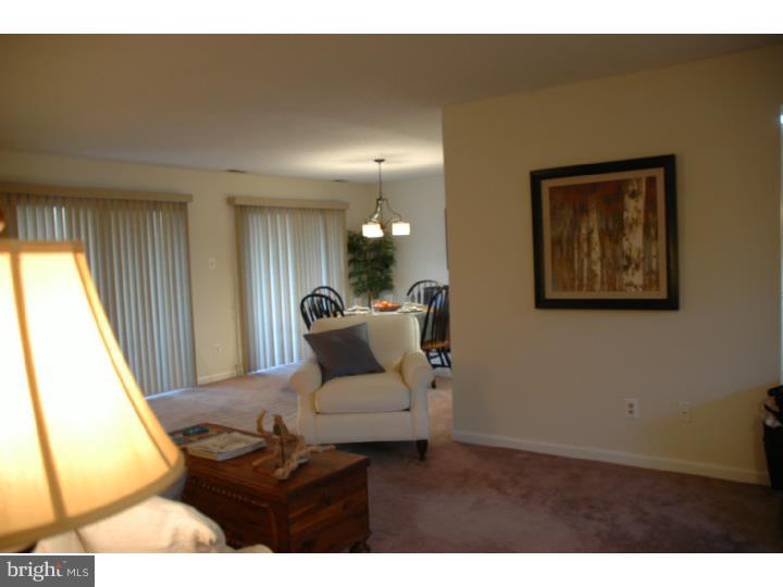 16 Hopkinson Court, Unit 157 Wayne, PA 19087 - Photo 20 of 21 Gallery Image 20