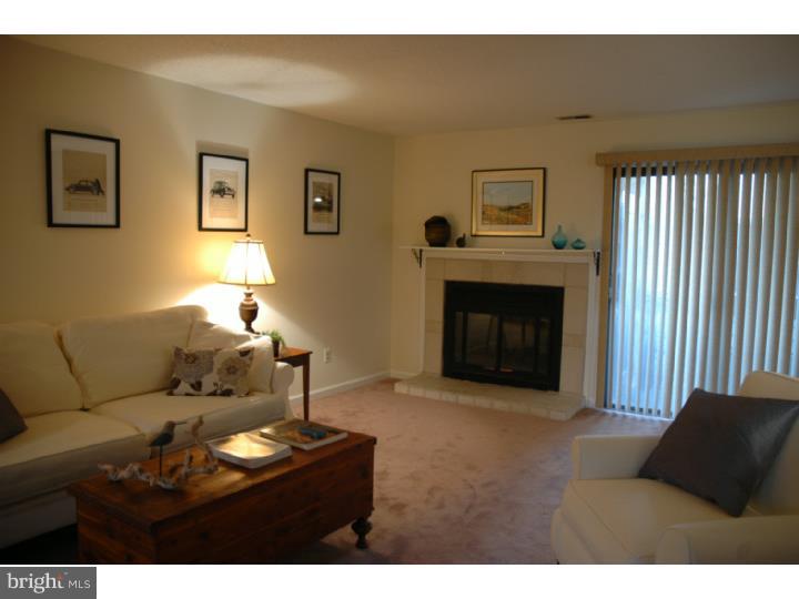 16 Hopkinson Court, Unit 157 Wayne, PA 19087 - Photo 3 of 21 Gallery Image 3