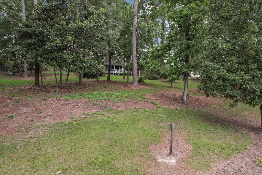 6850 North Co Road Columbia, AL 36319 - Photo 75 of 81