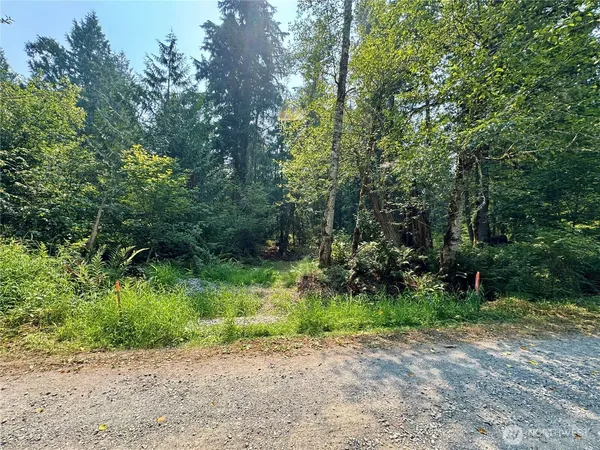 a view of a yard with plants and trees