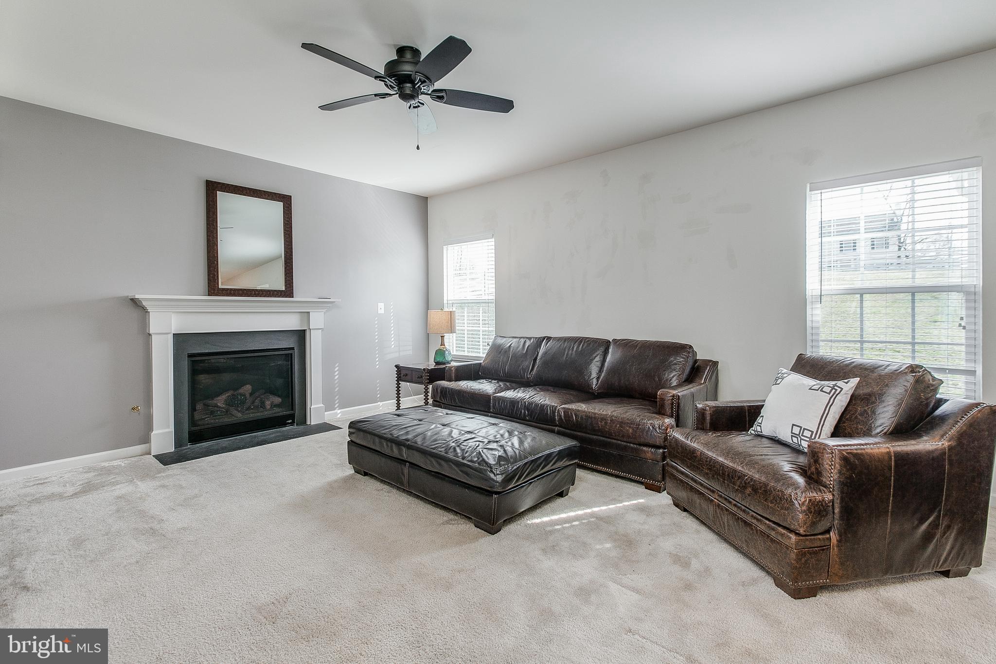 741 Rivanna Run Falling Waters, WV 25419 - Photo 5 of 49 Family Room with Cozy Gas Fireplace