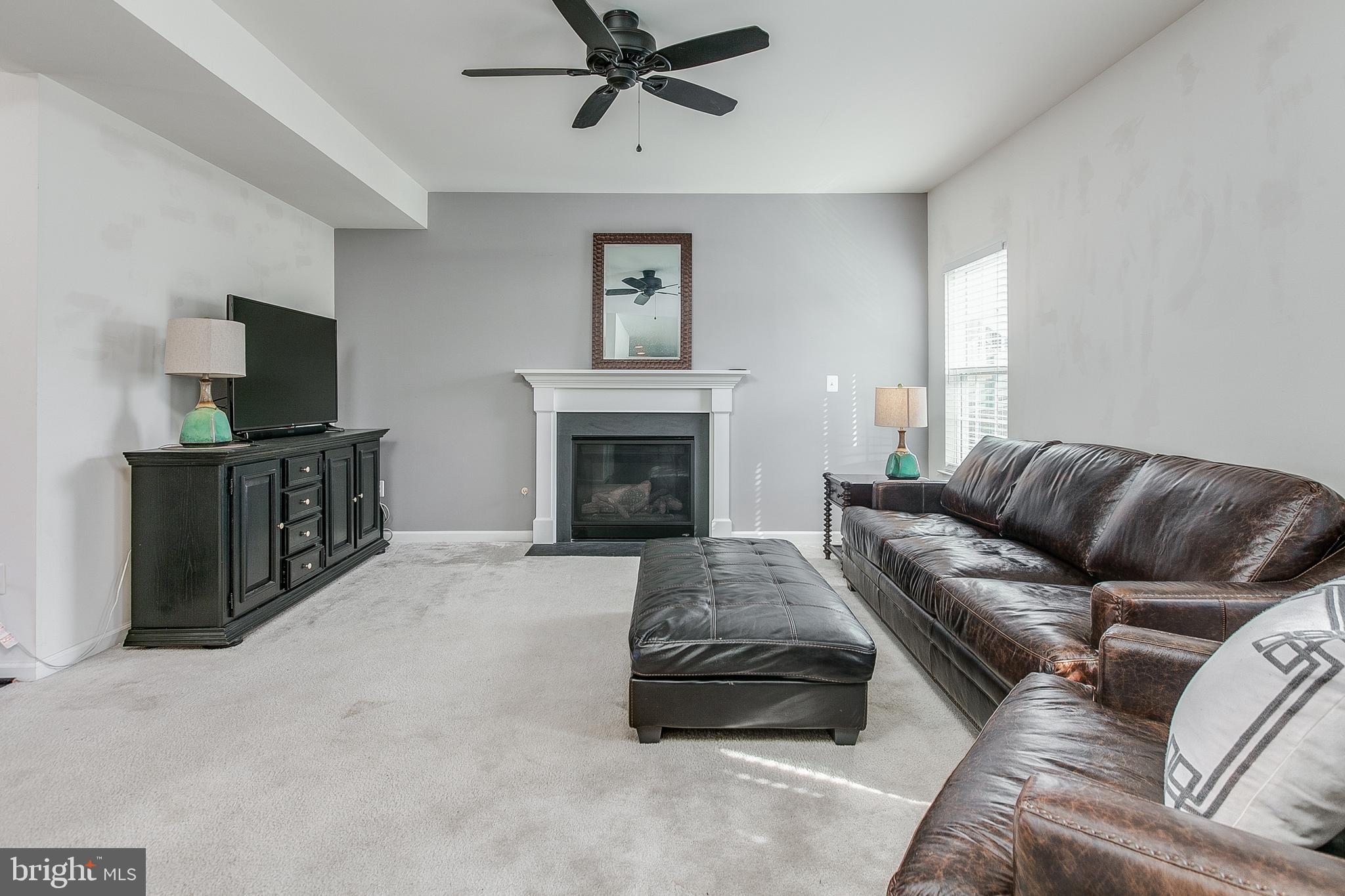 741 Rivanna Run Falling Waters, WV 25419 - Photo 6 of 49 Family Room with Cozy Gas Fireplace