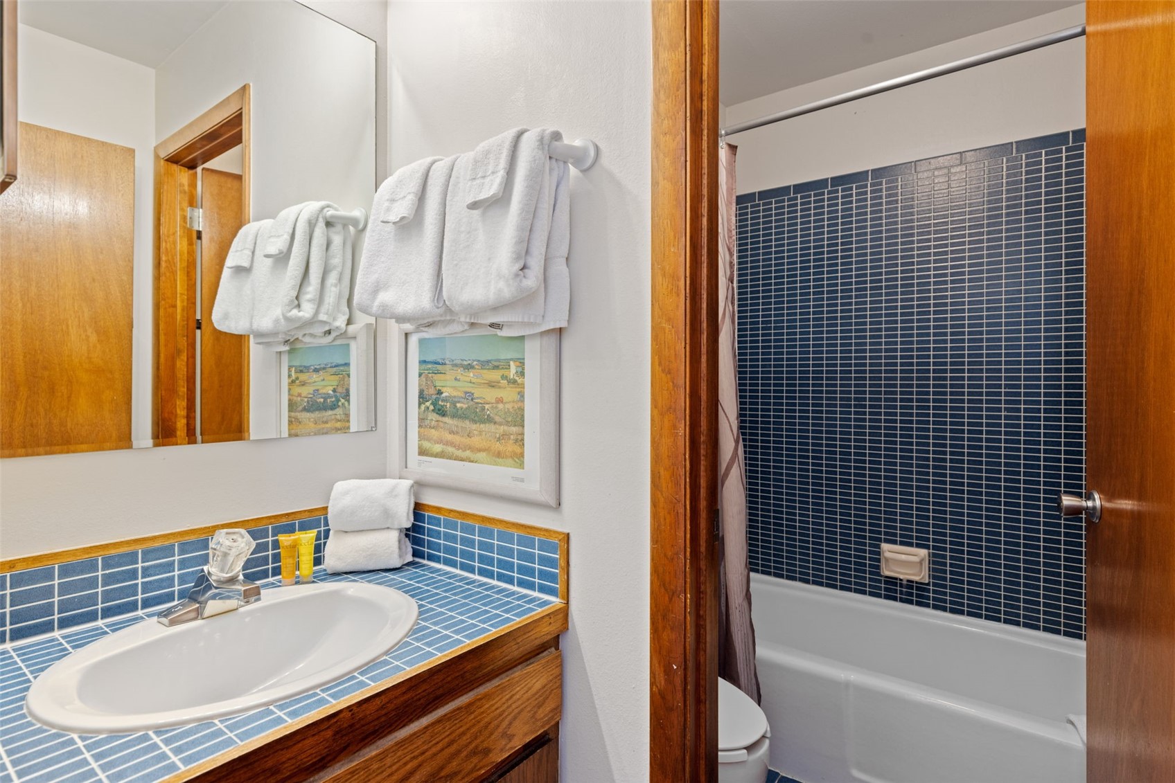 1668 Soda Ridge Road Keystone, CO 80435 - Photo 23 of 30 Gallery Image 23