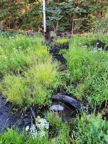 a view of a garden with a bench