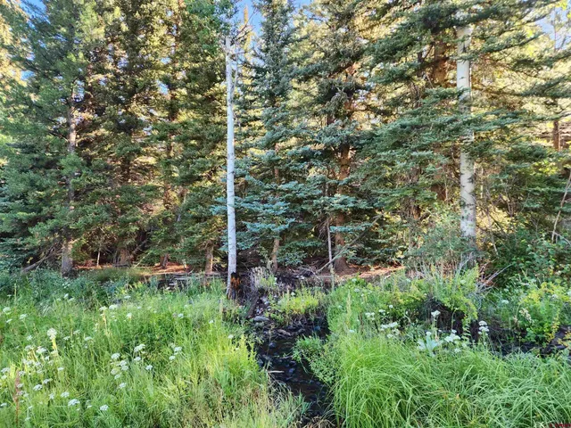 a view of a garden with a tree