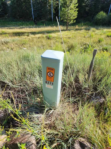 a view of a back yard