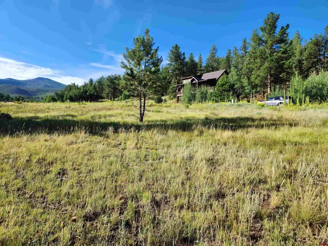 a view of swimming pool from a yard