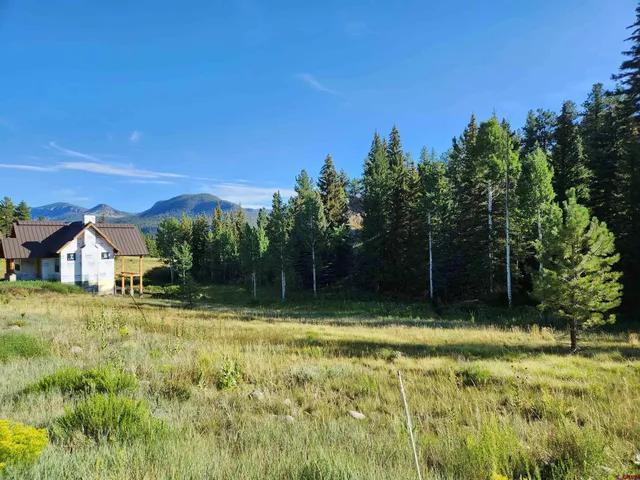 a view of large pool with a yard