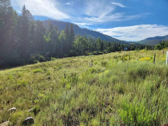 a view of an outdoor space and a yard