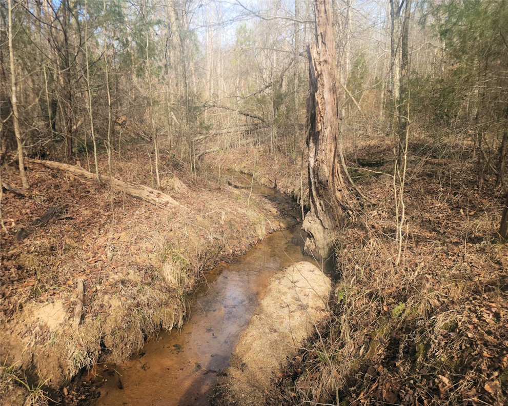 0 25th Highway Ware Shoals, SC 29692 - Photo 11 of 27