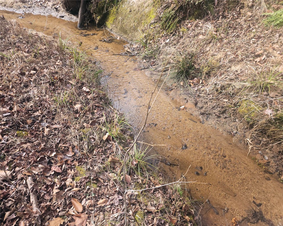 0 25th Highway Ware Shoals, SC 29692 - Photo 12 of 27