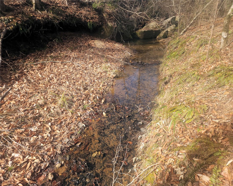 0 25th Highway Ware Shoals, SC 29692 - Photo 13 of 27