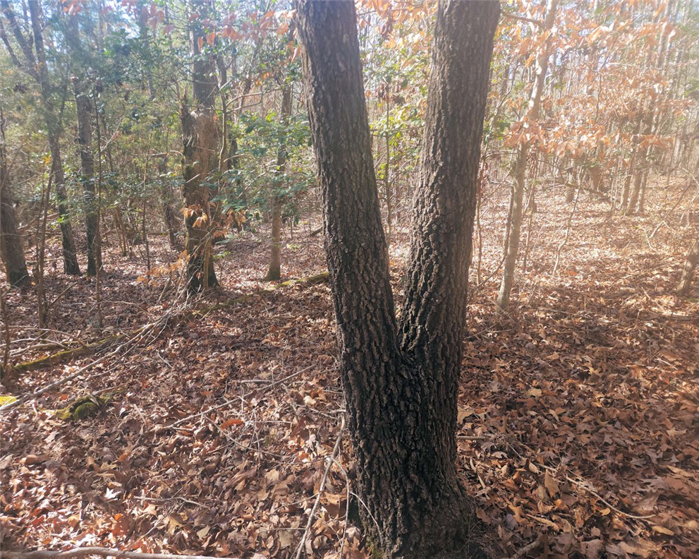 0 25th Highway Ware Shoals, SC 29692 - Photo 14 of 27