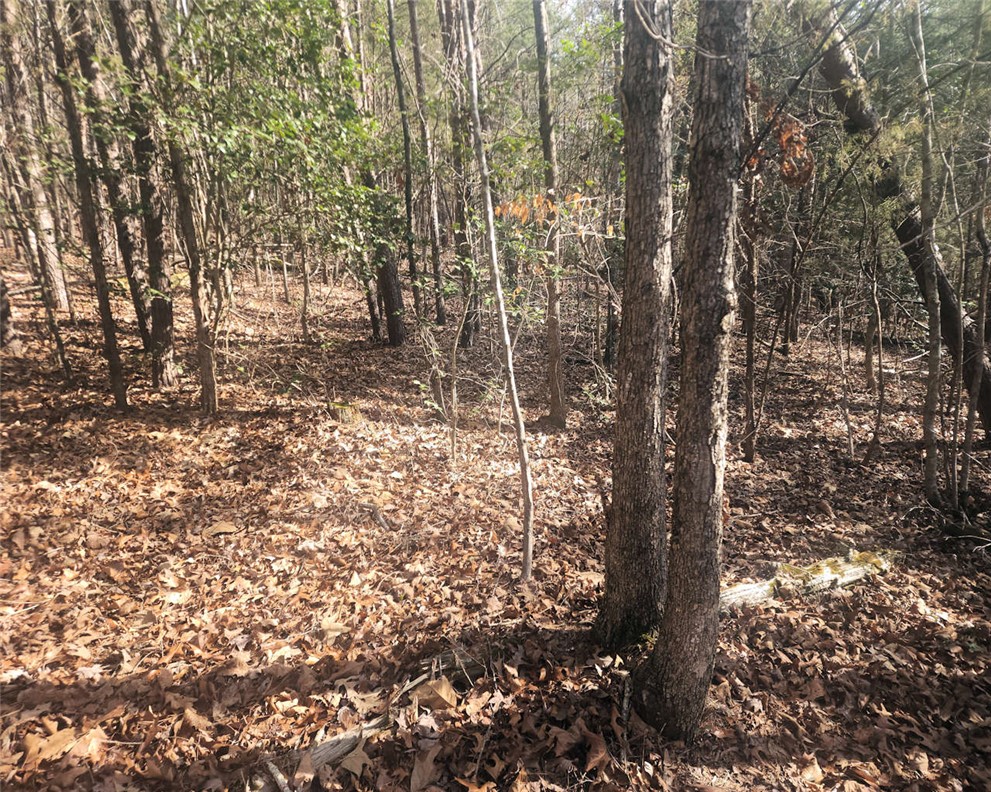 0 25th Highway Ware Shoals, SC 29692 - Photo 15 of 27