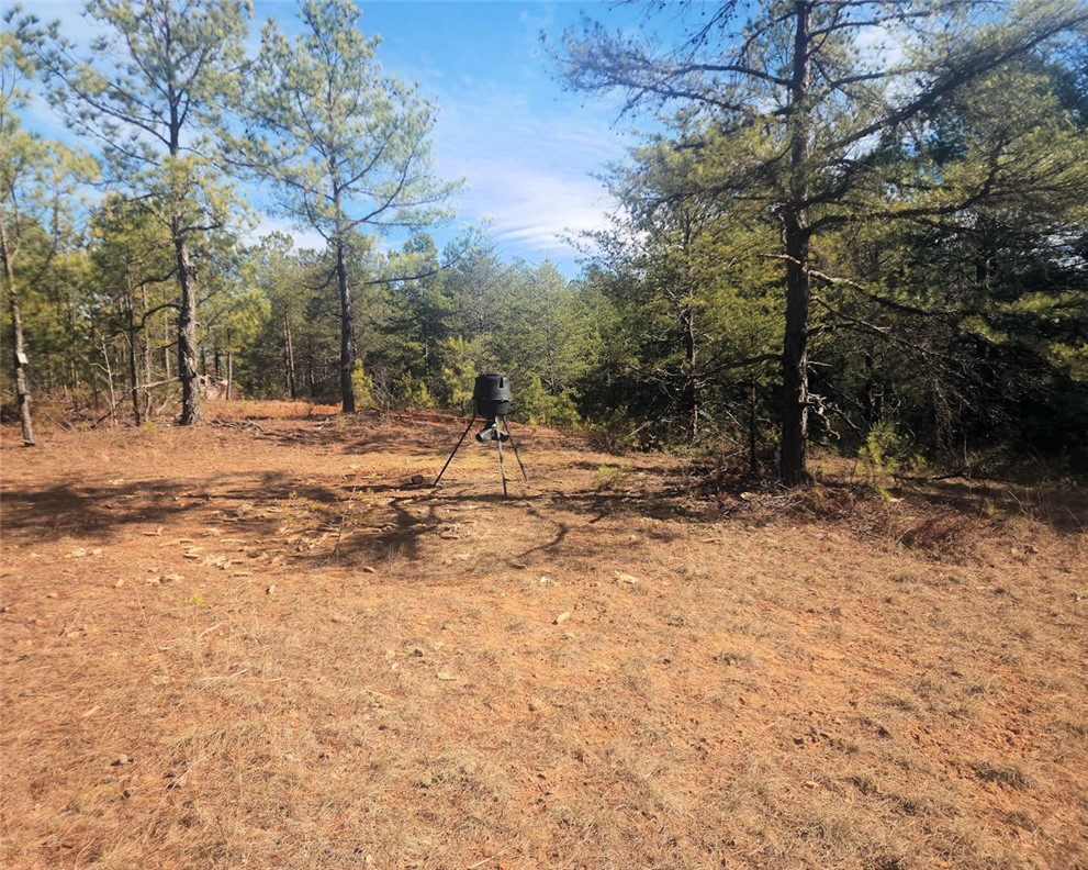 0 25th Highway Ware Shoals, SC 29692 - Photo 18 of 27