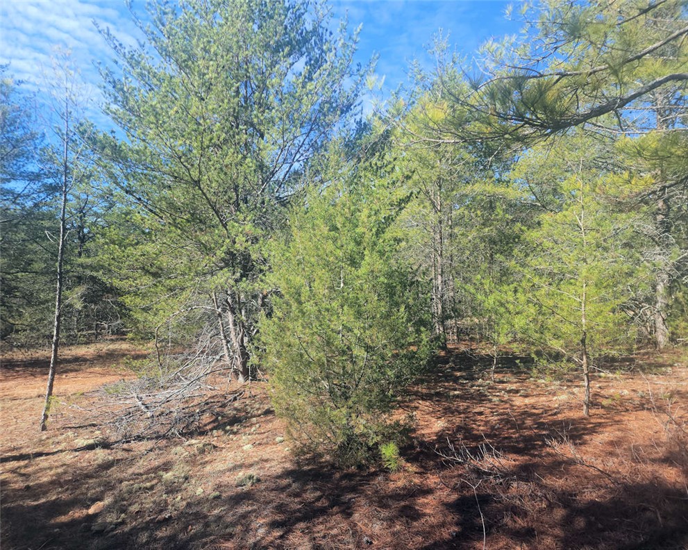 0 25th Highway Ware Shoals, SC 29692 - Photo 19 of 27