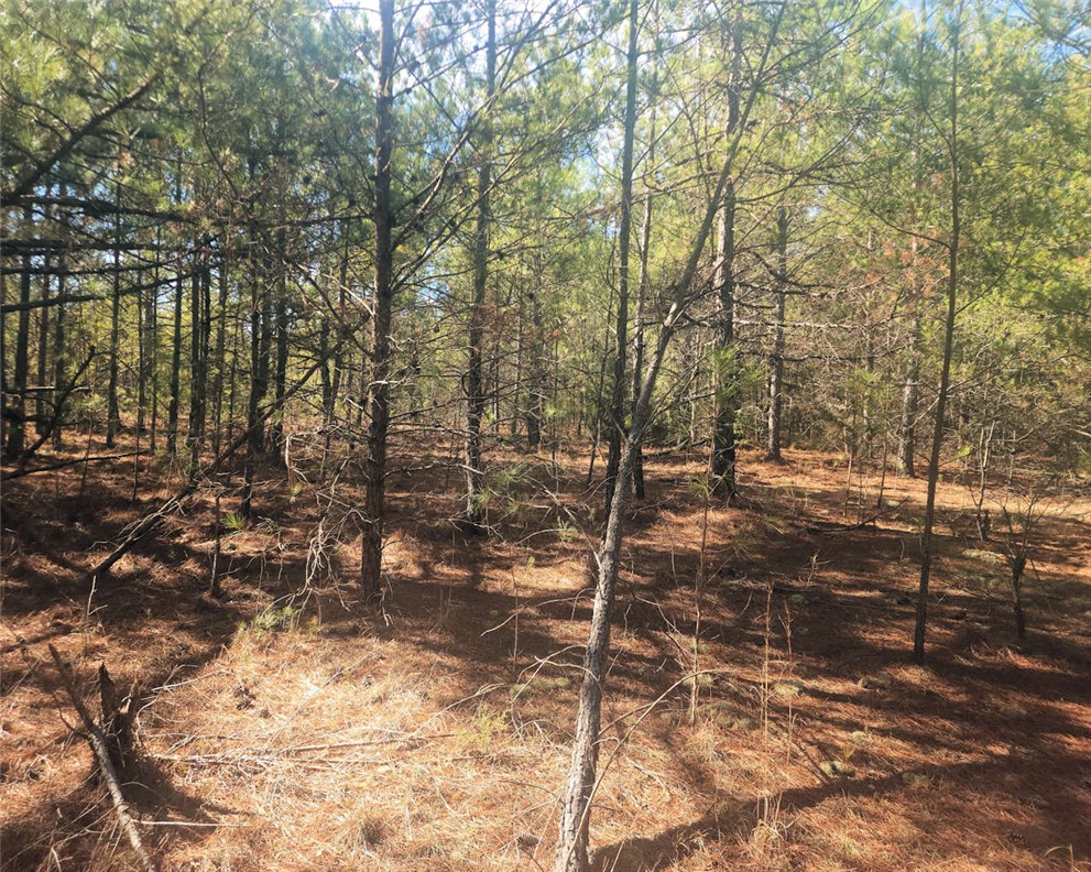 0 25th Highway Ware Shoals, SC 29692 - Photo 20 of 27