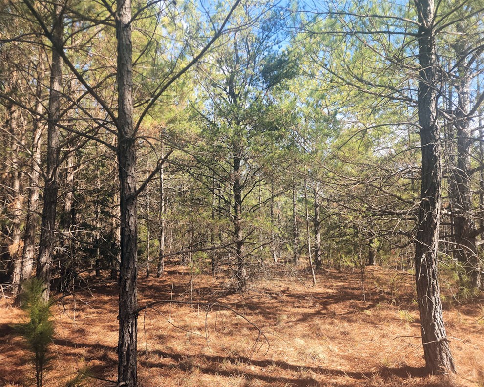 0 25th Highway Ware Shoals, SC 29692 - Photo 21 of 27