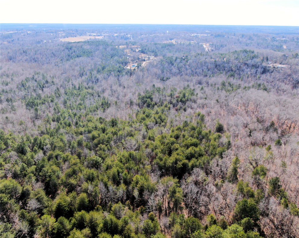 0 25th Highway Ware Shoals, SC 29692 - Photo 25 of 27