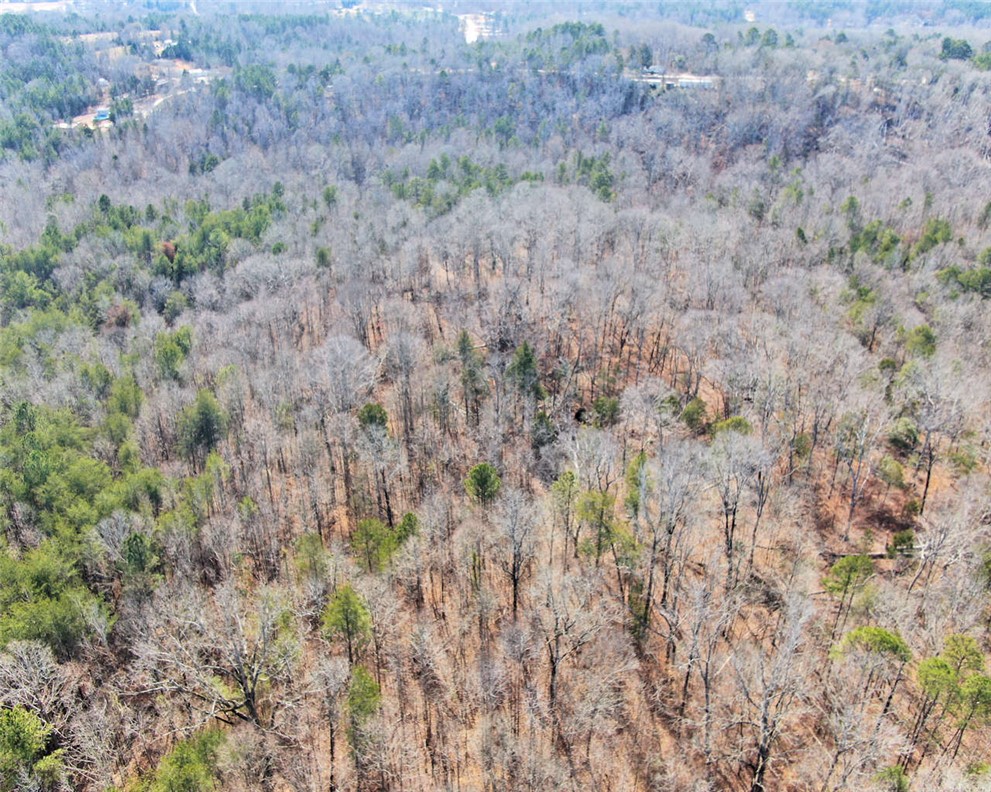 0 25th Highway Ware Shoals, SC 29692 - Photo 26 of 27