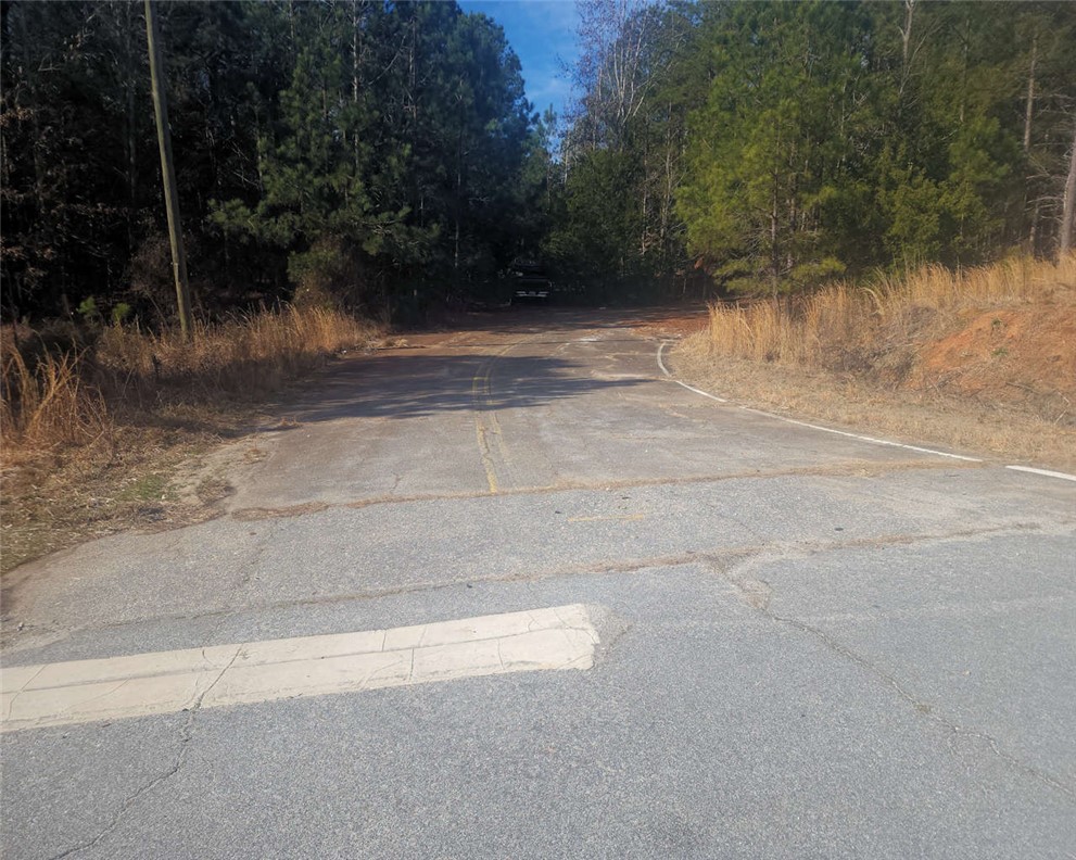 0 25th Highway Ware Shoals, SC 29692 - Photo 3 of 27