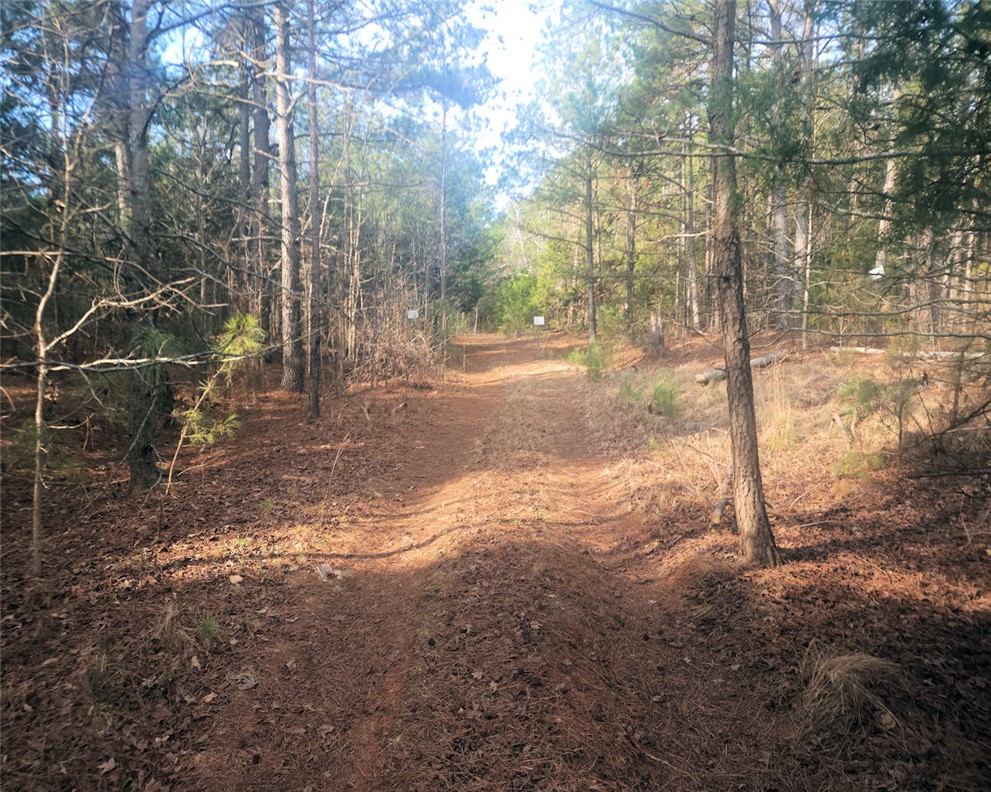 0 25th Highway Ware Shoals, SC 29692 - Photo 4 of 27