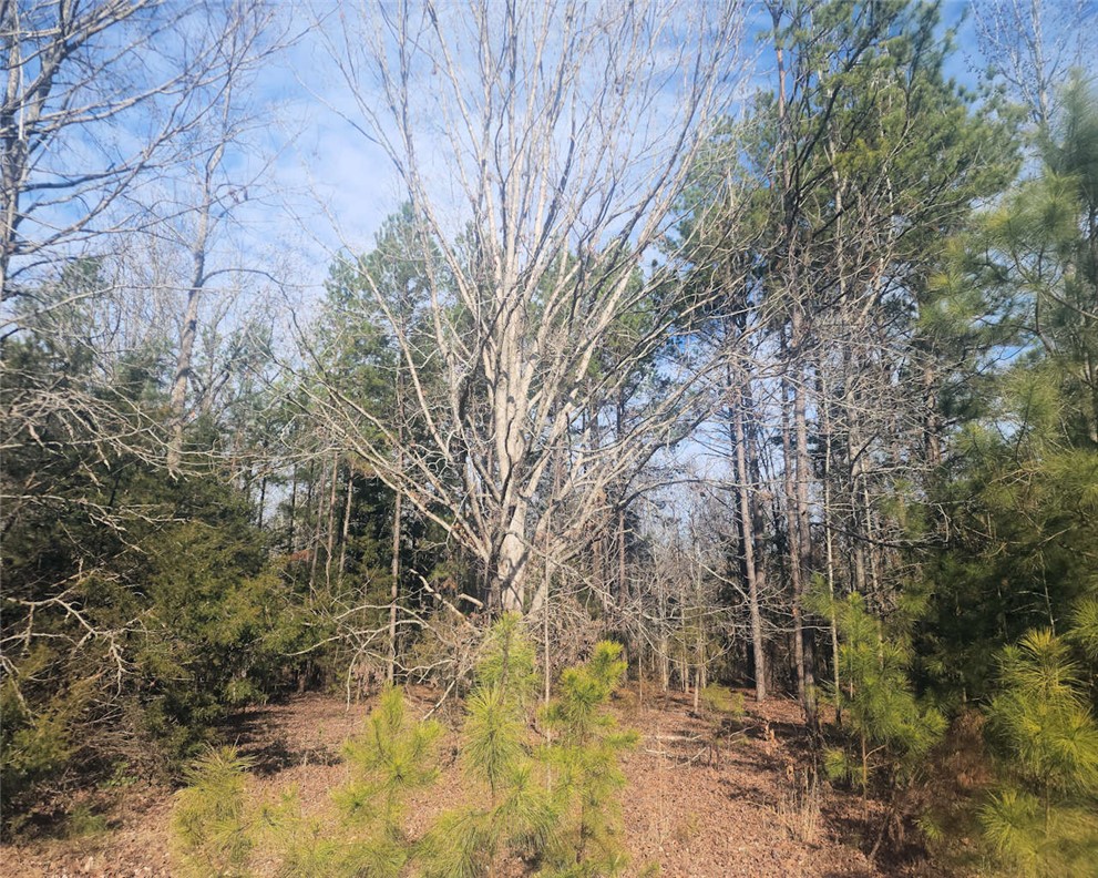 0 25th Highway Ware Shoals, SC 29692 - Photo 5 of 27