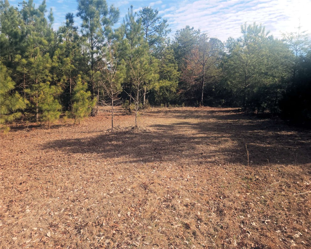 0 25th Highway Ware Shoals, SC 29692 - Photo 6 of 27