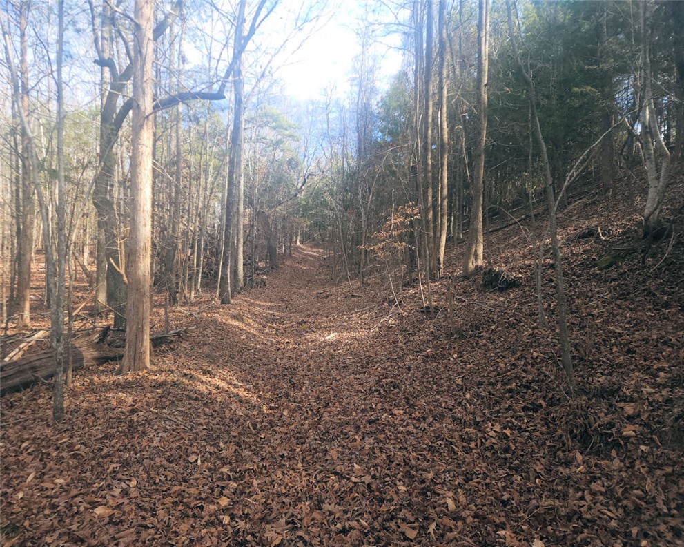 0 25th Highway Ware Shoals, SC 29692 - Photo 7 of 27