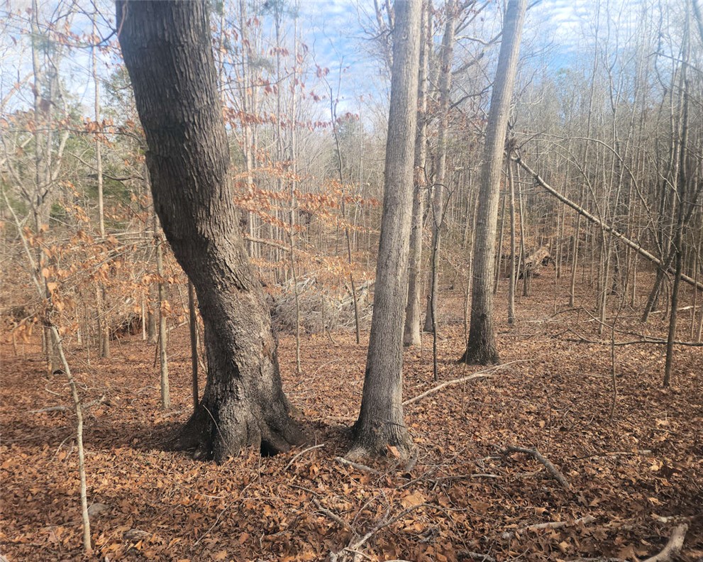 0 25th Highway Ware Shoals, SC 29692 - Photo 8 of 27