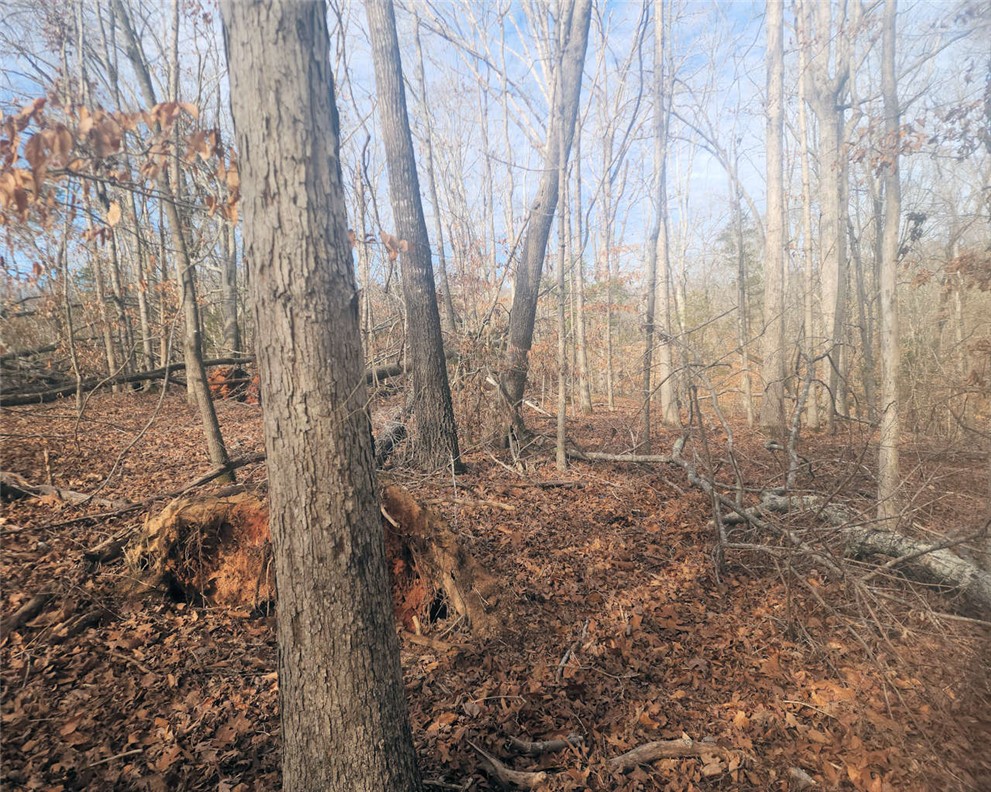 0 25th Highway Ware Shoals, SC 29692 - Photo 9 of 27